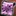 bewa.png